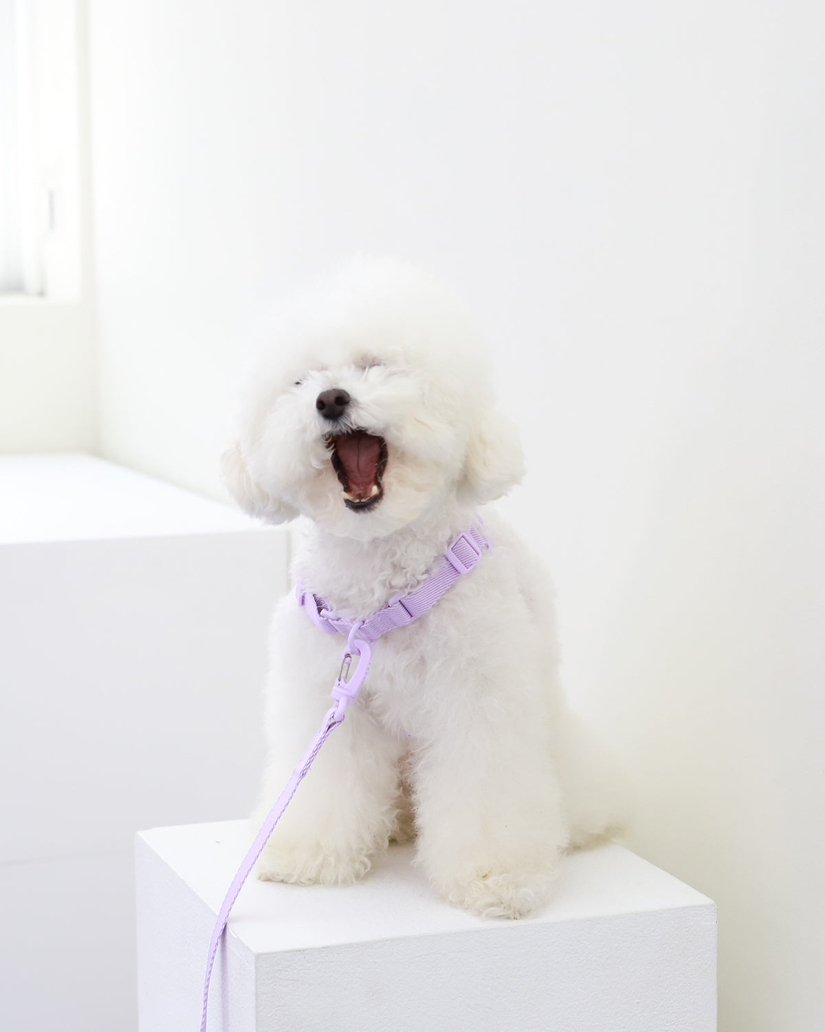 Macaron Comfort Harness . Lavender