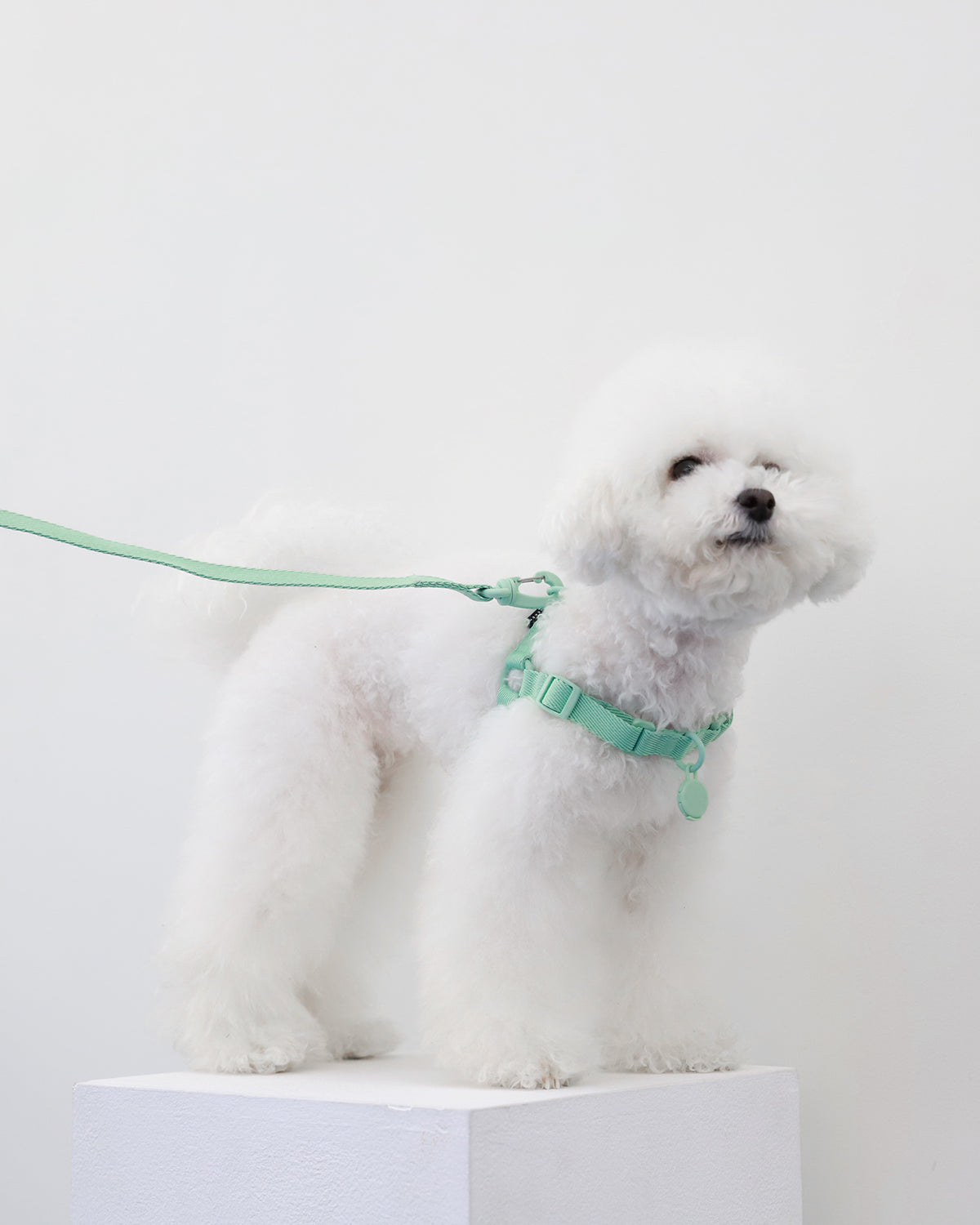 Macaron Comfort Harness . AQUA