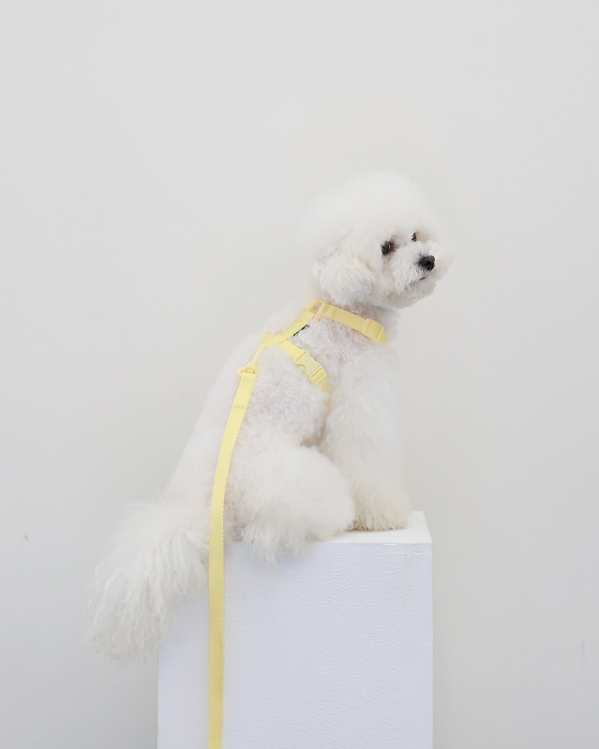 Macaron Harness . Lemon